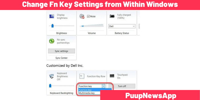 Change Fn Key Settings from Within Windows