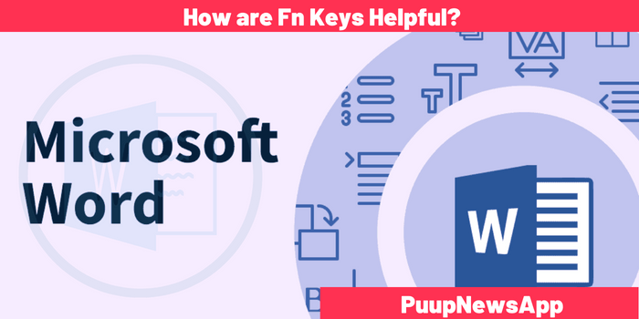 How are Fn Keys Helpful