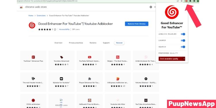 Youtube Adblocker