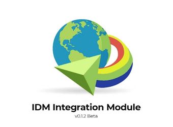 How to use idm extensions effectively